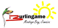 {short description of image}