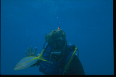 Diver